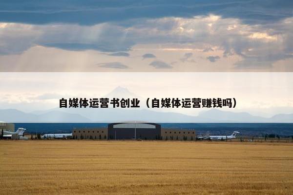 自媒体运营书创业（自媒体运营赚钱吗）