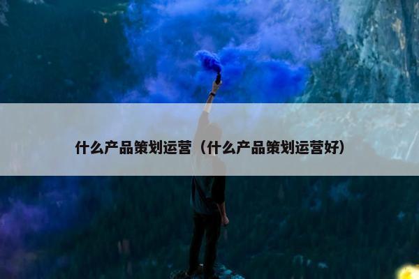 什么产品策划运营（什么产品策划运营好）