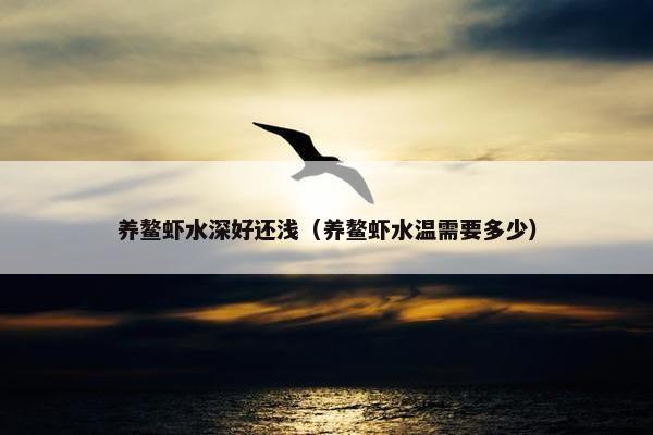 养鳌虾水深好还浅（养鳌虾水温需要多少）