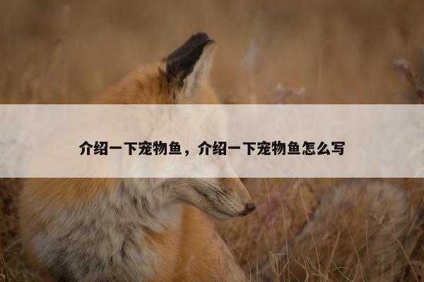 介绍一下宠物鱼，介绍一下宠物鱼怎么写