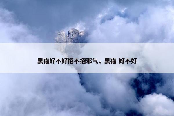 黑猫好不好招不招邪气，黑猫 好不好