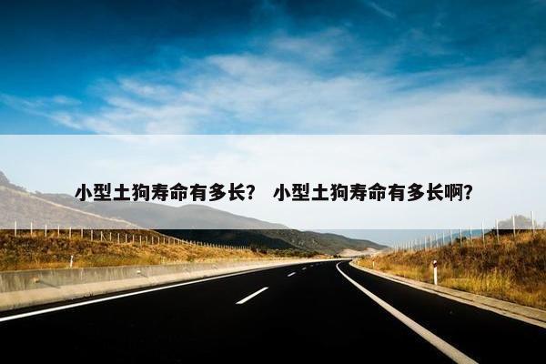 小型土狗寿命有多长？ 小型土狗寿命有多长啊？