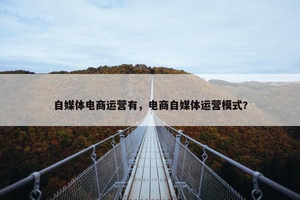 自媒体电商运营有，电商自媒体运营模式?