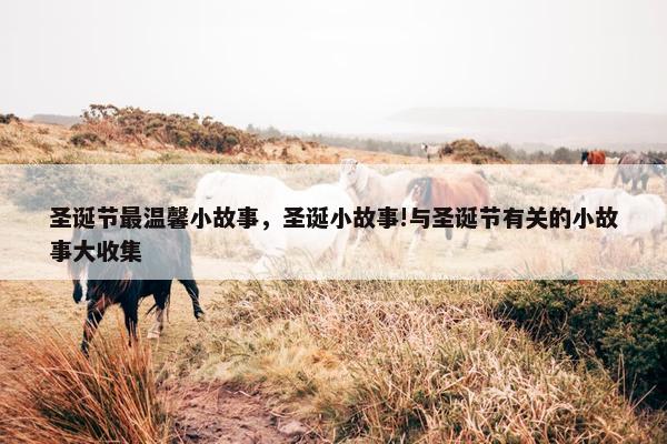 圣诞节最温馨小故事，圣诞小故事!与圣诞节有关的小故事大收集