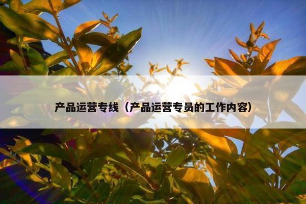 产品运营专线（产品运营专员的工作内容）