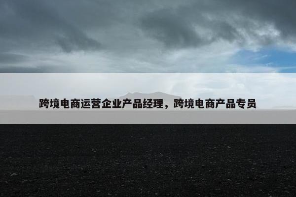 跨境电商运营企业产品经理，跨境电商产品专员