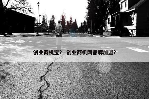 创业商机宝？ 创业商机网品牌加盟？