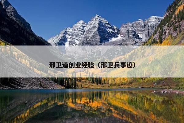 邢卫道创业经验（邢卫兵事迹）