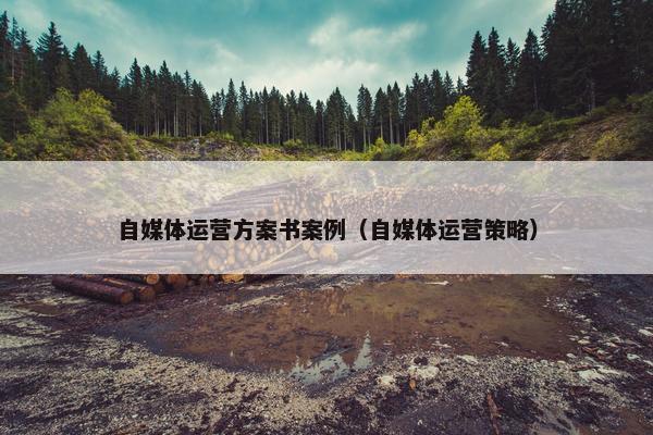 自媒体运营方案书案例（自媒体运营策略）