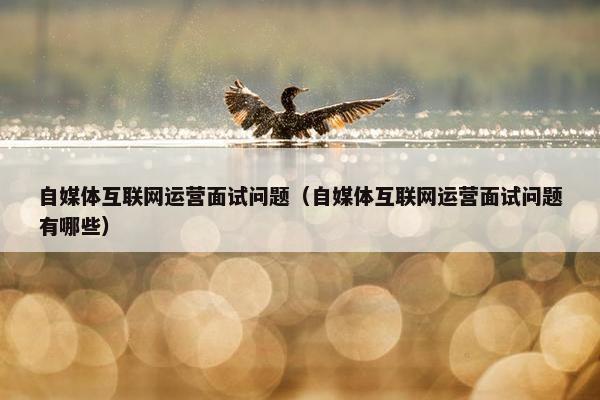 自媒体互联网运营面试问题（自媒体互联网运营面试问题有哪些）
