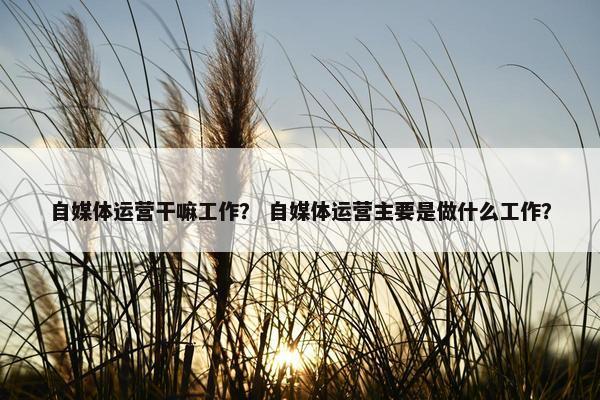 自媒体运营干嘛工作？ 自媒体运营主要是做什么工作？