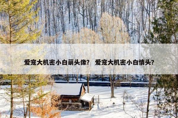 爱宠大机密小白萌头像？ 爱宠大机密小白情头？