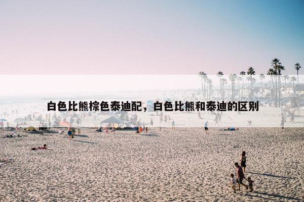 白色比熊棕色泰迪配，白色比熊和泰迪的区别