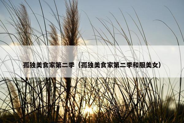 孤独美食家第二季（孤独美食家第二季和服美女）