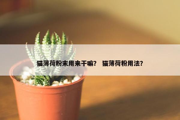 猫薄荷粉末用来干嘛？ 猫薄荷粉用法？