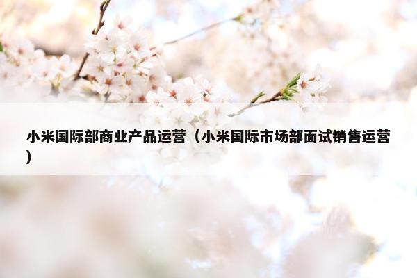 小米国际部商业产品运营（小米国际市场部面试销售运营）