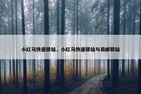 小红马快递驿站，小红马快递驿站与易邮驿站