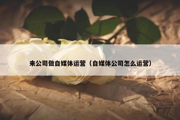 来公司做自媒体运营（自媒体公司怎么运营）