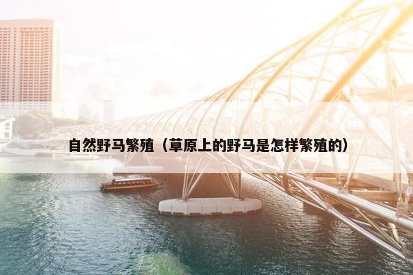 自然野马繁殖（草原上的野马是怎样繁殖的）