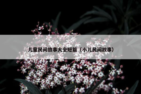 儿童民间故事大全短篇（小儿民间故事）