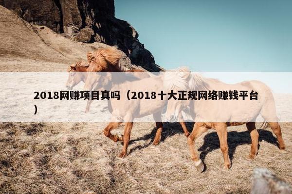2018网赚项目真吗（2018十大正规网络赚钱平台）