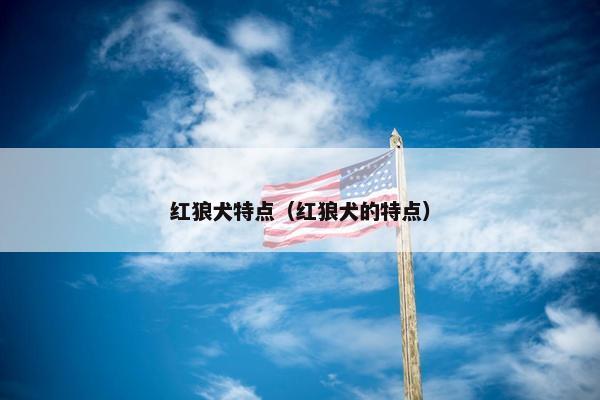 红狼犬特点（红狼犬的特点）