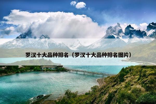 罗汉十大品种排名（罗汉十大品种排名图片）