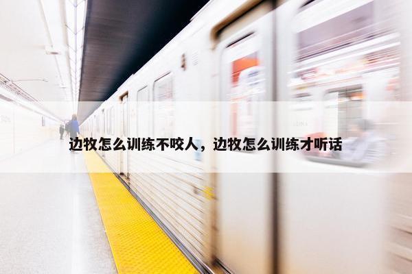 边牧怎么训练不咬人，边牧怎么训练才听话
