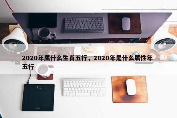 2020年属什么生肖五行，2020年是什么属性年 五行