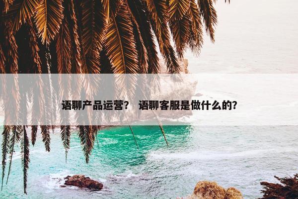 语聊产品运营？ 语聊客服是做什么的？