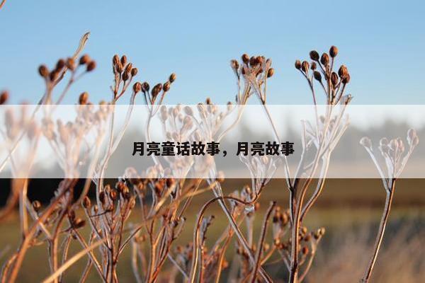 月亮童话故事，月亮故事
