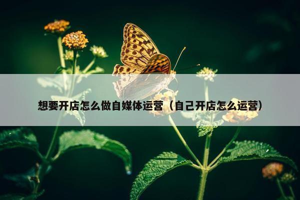 想要开店怎么做自媒体运营（自己开店怎么运营）
