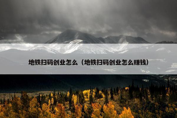 地铁扫码创业怎么（地铁扫码创业怎么赚钱）