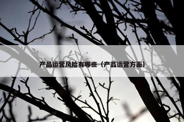 产品运营风险有哪些（产品运营方面）