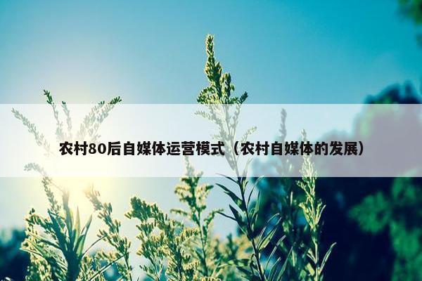 农村80后自媒体运营模式（农村自媒体的发展）