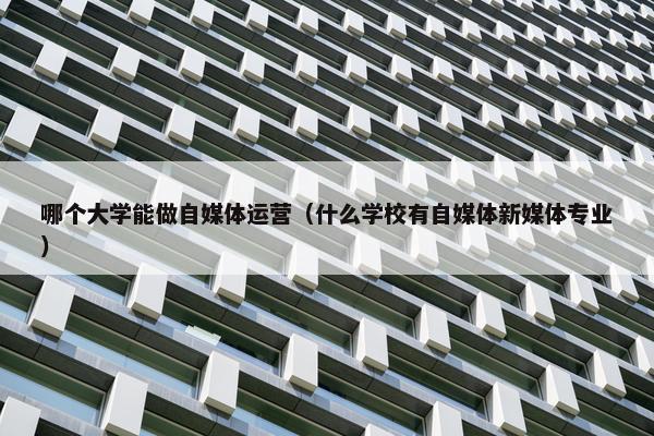 哪个大学能做自媒体运营（什么学校有自媒体新媒体专业）