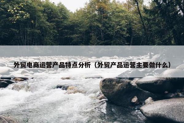 外贸电商运营产品特点分析（外贸产品运营主要做什么）
