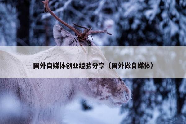 国外自媒体创业经验分享（国外做自媒体）