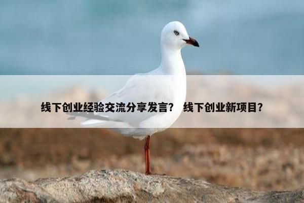 线下创业经验交流分享发言？ 线下创业新项目？
