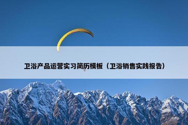 卫浴产品运营实习简历模板（卫浴销售实践报告）