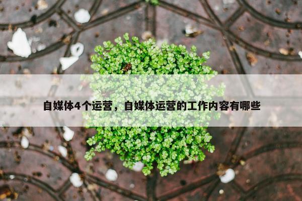 自媒体4个运营，自媒体运营的工作内容有哪些