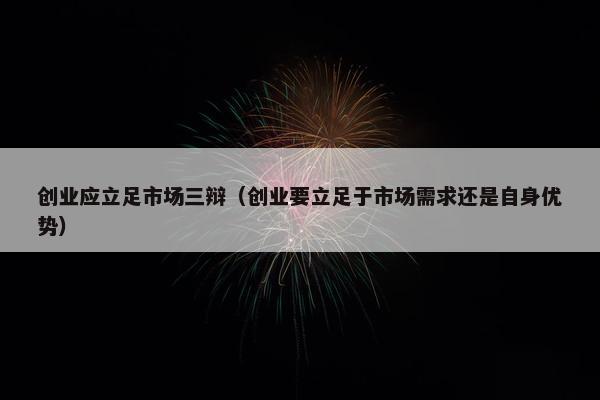 创业应立足市场三辩（创业要立足于市场需求还是自身优势）