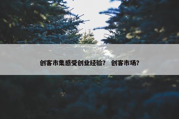 创客市集感受创业经验？ 创客市场？