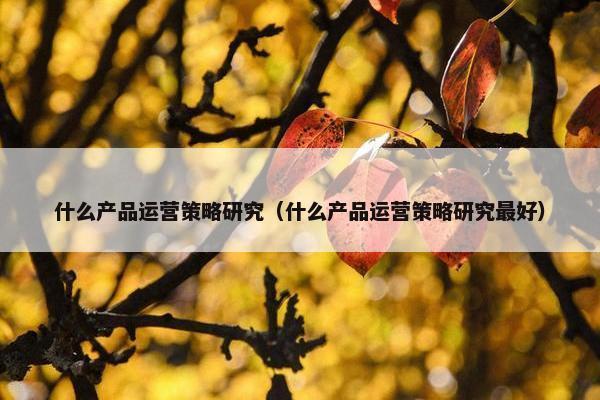 什么产品运营策略研究（什么产品运营策略研究最好）