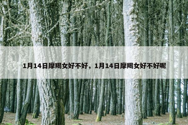 1月14日摩羯女好不好，1月14日摩羯女好不好呢