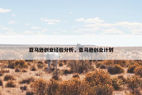 亚马逊创业经验分析，亚马逊创业计划