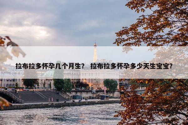 拉布拉多怀孕几个月生？ 拉布拉多怀孕多少天生宝宝？
