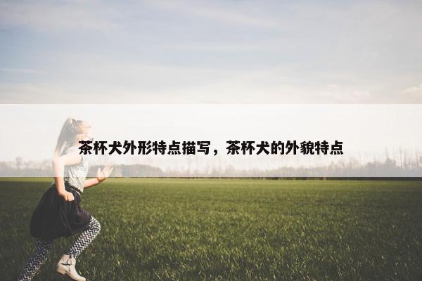 茶杯犬外形特点描写，茶杯犬的外貌特点