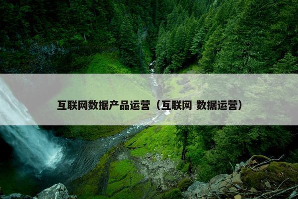 互联网数据产品运营（互联网 数据运营）