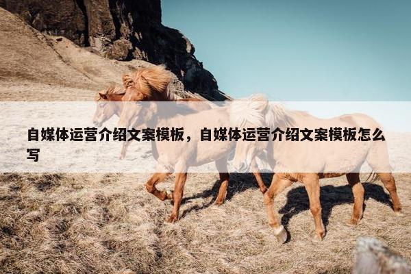 自媒体运营介绍文案模板，自媒体运营介绍文案模板怎么写